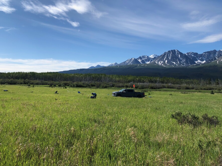 Une étude publiée en mars 2026, sur les propriétés de 14 sites dans la région de Haines Junction au Yukon, révèle que les sites où se trouve du pergélisol réagissent différemment lors d’un tremblement de terre.  &mdash; Courtoisie Ressources Naturelles Canada