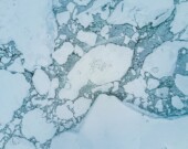 Les conséquences de la fonte de la banquise en Arctique sont multiples, autant sur les écosystèmes que sur l’économie des collectivités du nord.  &mdash; Courtoisie Pexels – Willian Justen de Vasconcellos
