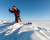 Clémentine Bouche progresse à ski avec Coco, le husky inuit canadien qui l’a accompagnée pendant sa traversée entre Yellowknife et Déline.  &mdash; Courtoisie