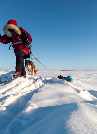 Clémentine Bouche progresse à ski avec Coco, le husky inuit canadien qui l’a accompagnée pendant sa traversée entre Yellowknife et Déline.  &mdash; Courtoisie