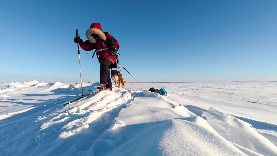 Clémentine Bouche progresse à ski avec Coco, le husky inuit canadien qui l’a accompagnée pendant sa traversée entre Yellowknife et Déline.  &mdash; Courtoisie