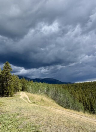 Une étude parue dans Nature révèle que l’assèchement des sols est accentué par des épisodes de pluie intenses, mais courts. &mdash; Photo Nelly Guidici