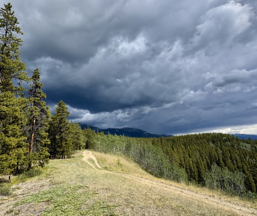 Une étude parue dans Nature révèle que l’assèchement des sols est accentué par des épisodes de pluie intenses, mais courts. &mdash; Photo Nelly Guidici