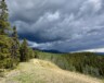 Une étude parue dans Nature révèle que l’assèchement des sols est accentué par des épisodes de pluie intenses, mais courts. &mdash; Photo Nelly Guidici