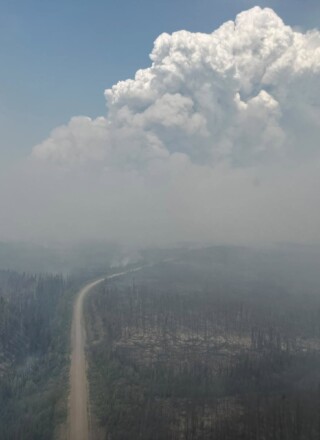 Environnement et Changement climatique indique que plus de 230 000 hectares de forêt sont touchés par les feux &mdash; Courtoisie Feux TNO