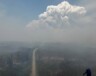 Environnement et Changement climatique indique que plus de 230 000 hectares de forêt sont touchés par les feux &mdash; Courtoisie Feux TNO