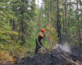 Plus de 200 feux de forêt sont toujours actifs aux Territoires du Nord-Ouest en date du 19 aout.  &mdash; Courtoisie