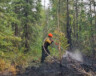 Plus de 200 feux de forêt sont toujours actifs aux Territoires du Nord-Ouest en date du 19 aout.  &mdash; Courtoisie