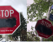 Ce vendredi 22 mai, l’héritage francophone de Calgary a été attaqué à coups de peinture noire. Les panneaux bilingues avaient été installés dans le quartier Mission, anciennement village francophone Rouleauville, l’année dernière par le Bureau de visibilité de Calgary (BVC) après l’approbation du Conseil municipal de la ville.

«Quel dommage!», dit Suzanne de Courville Nicol, présidente et créatrice du Bureau de visibilité de Calgary. Ce vendredi matin, les passants et automobilistes bravant la pluie pouvaient constater que les panneaux de signalisation bilingue n’affichaient plus que le mot anglais : «Stop».

Sur sept des dix-huit panneaux installés l’année dernière, le mot «arrêt» a été recouvert de peinture noire. L’information a été rendue publique par un tweet ce vendredi 22 mai aux alentours de 10 heures. 


En juin dernier, le conseil municipal de Calgary avait approuvé à 8 voix contre 5, l’installation de ces panneaux bilingues, malgré une pétition signée par 149 habitants du quartier. Le Bureau de visibilité de Calgary soutenu par plusieurs partenaires du Conseil de développement économique (CDÉA) a ainsi financé ces panneaux installés en octobre 2019.

Selon l’historien Rob Lennard, à l’origine de l’initiative avec Suzanne de Courville Nicol et Ben Van De Walle, ces signalisations bilingues ont pour objectif de sensibiliser les gens à l’histoire francophone de Rouleauville. 

L’ACFA publie un communiqué
Sheila Risbud, présidente de l’association canadienne française de l’Alberta (ACFA), porte-parole de la francophonie dans la province, a réagit dans un communiqué de presse publié dans l’après-midi.

«L’ACFA DÉPLORE CE TYPE DE COMPORTEMENT INACCEPTABLE QUI PORTE ATTEINTE À L’INTÉGRITÉ DE LA FRANCOPHONIE ET AU PATRIMOINE DE L’ALBERTA. LE QUARTIER ROULEAUVILLE EST L’UN DES PLUS BEAUX VESTIGES TÉMOIGNANT DE L’HISTOIRE DES FRANCOPHONES DANS L’OUEST CANADIEN. CE QUARTIER DE CALGARY A VU LE JOUR EN 1872 À L’ARRIVÉE D’UNE PREMIÈRE MISSION FRANCOPHONE, OÙ A ÉTÉ CRÉÉE LA PAROISSE NOTRE-DAME-DE-LA-PAIX QUI RASSEMBLAIT UNE MAJORITÉ DE MÉTIS FRANCOPHONES ET DE CANADIENS FRANÇAIS.»

SHEILA RISBUD, PRÉSIDENTE DE L’ACFA.
Sur Twitter, en français et en anglais, la ministre provinciale responsable du Secrétariat francophone a apporté le soutien du gouvernement à la communauté, après avoir annoncé que ces actes «devront être condamnées».


«S’ils ne connaissent pas l’histoire de ce quartier, je leur expliquerai»
« C’est déjà bien que pendant près de huit mois ils n’aient pas été endommagés. On s’attendait à ce qu’ils soient vandalisés. Du vandalisme, il y en a toujours et il y en aura toujours. Mais ces gens ne représentent pas la majorité», commente la présidente du Bureau de visibilité de Calgary. 

Si j’étais en face de la, ou des, personne(s) qui ont fait ça je souhaiterais leur demander pourquoi. Je leur demanderai s’ils connaissent l’histoire de ce quartier, et s’ils ne la connaissent pas alors je leur expliquerai», ajoute celle pour qui ces actes s’apparentent à de l’ignorance.

Selon nos informations, les sept panneaux de signalisation de l’ancien quartier Rouleauville devraient très rapidement retrouver leurs couleurs bilingues.  