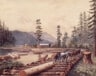 Camp de b�cherons sur l�le de Vancouver, en Colombie-Britannique, 1880-1890. Cr�dit : E. Sandys. Biblioth�que et Archives Canada C-011040  Flickr  