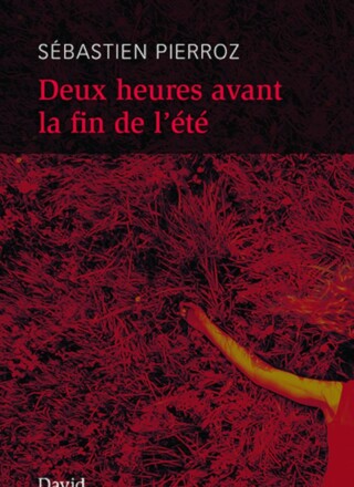 Les membres de l'équipe de Francopresse vous proposent quelques livres à glisser dans vos bagages cet été. Montage - Francopresse   