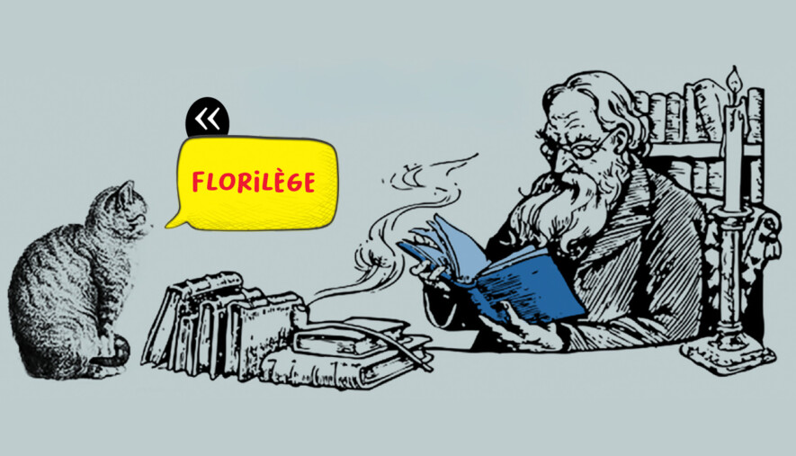 Florilège Horizontal