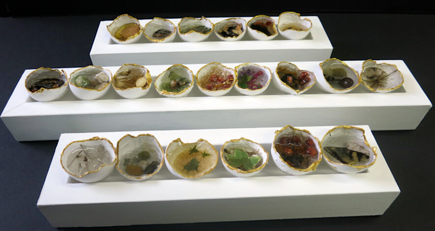 Le jardin des trésors de Doris Charest (Garden Treasures). Photo : Doris Charest  