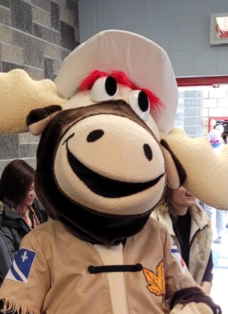 Le costume de la mascotte Brisebois a disparu lors du vol dont a été victime l’ACFA régionale de Calgary. Photo : Archives Le Franco - Arnaud Barbet   