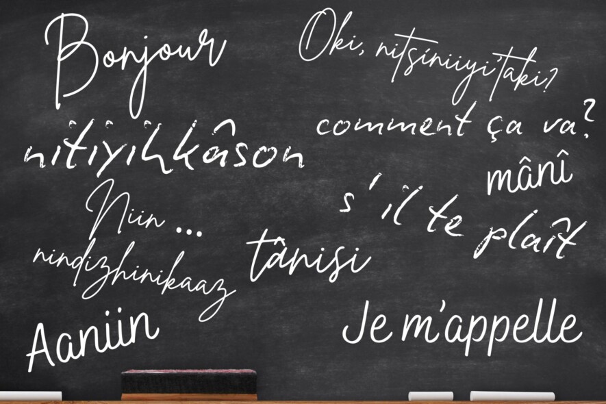 Tableau avec inscriptions en français et différentes langues autochtones. &mdash; Crédits : Canva