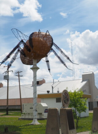  La grosse abeille de Falher ; symbole du miel comme production privilégiée de la région.  &mdash; Crédit : ACFA Rivière-la-Paix. 