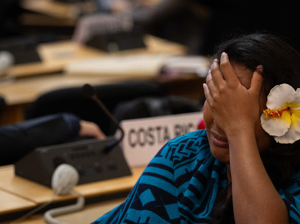 Le 14 août 2025, à Genève, les négociations n’ont pas abouti à la signature d’un traité international contre la pollution plastique. — Crédit : IISD/ENB – Kiara Worth