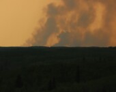 De nombreuses questions se posent autour de l’impact des fumées de feux de forêt sur la santé publique.  — Crédit : Unsplash – Izzy E. 