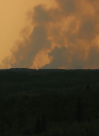 De nombreuses questions se posent autour de l’impact des fumées de feux de forêt sur la santé publique.  &mdash; Crédit : Unsplash – Izzy E. 