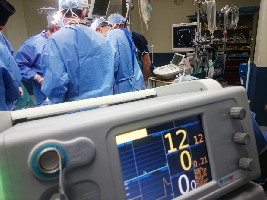Les causes du nombre élevé de cas de la cardiomyopathie dilatée chez les jeunes de Kugaaruk demeurent à l’étude.  — Crédit : Natanael Melchor - Unsplash