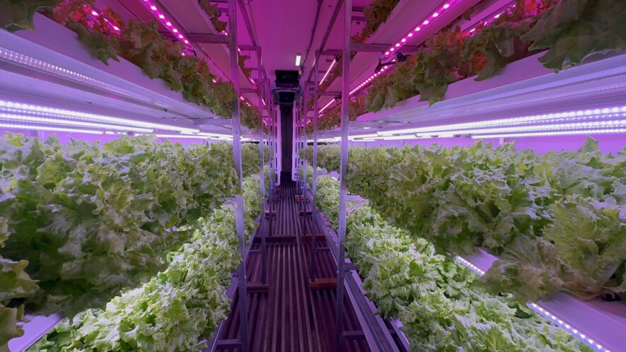 La ferme hydroponique, appelée Ag1054, est un projet d’agriculture nordique au bord du lac Kluane au Yukon. Des laitues, du kale, du brocoli, des tomates et des concombres poussent dans la serre installée sur le site du centre de recherche.  — Crédit : Nelly Guidici