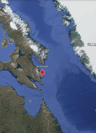 Le site sélectionné pour cette étude se situe sur l’île Brevoort, près de l’île de Baffin. — Capture d’écran – Google Earth