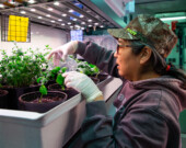 Narvik emploie une dizaine de personnes, dont la majorité est originaire de Gjoa Haven.   &mdash; Courtoisie fondation Arctic Research