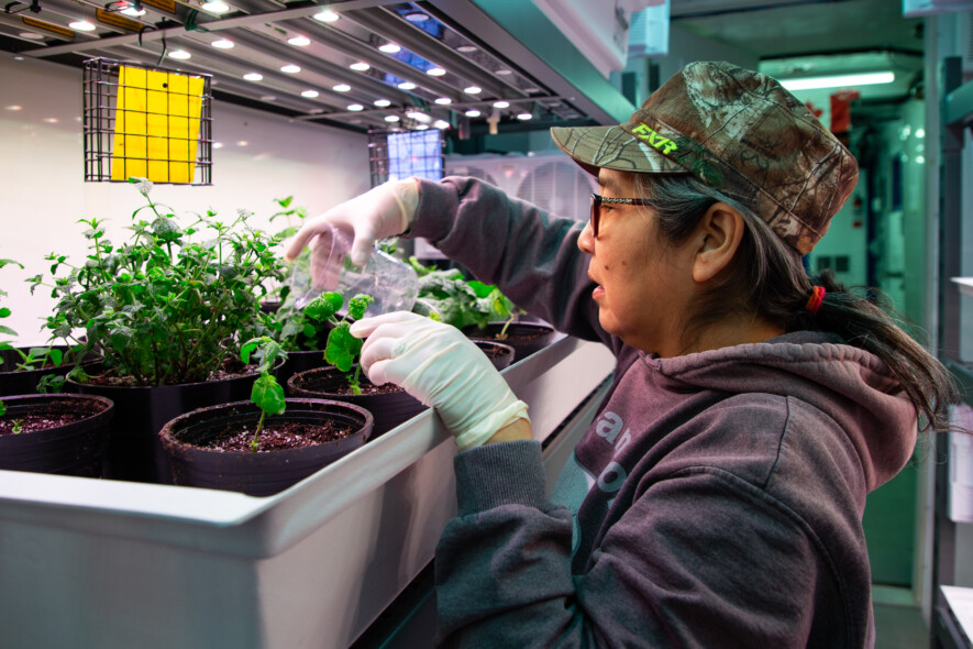 Narvik emploie une dizaine de personnes, dont la majorité est originaire de Gjoa Haven.   — Courtoisie fondation Arctic Research