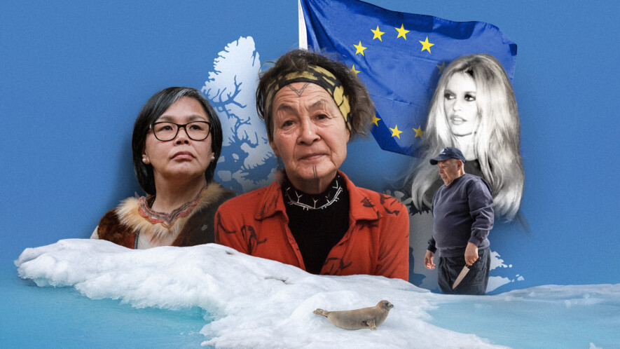   Graphisme : Anthony Morell