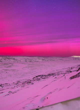 Rideau d'aurores boréales au Parc Sylvia Grinnell, 19 janvier 2026.  &mdash; Crédit : Brice Ivanovic