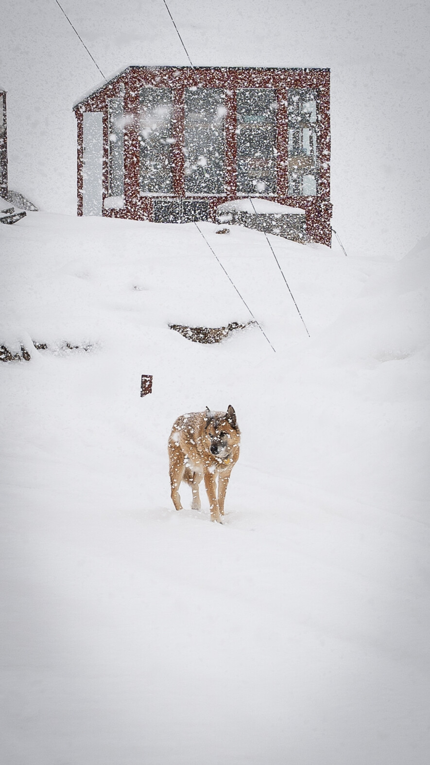   Crédit : Brice Ivanovic