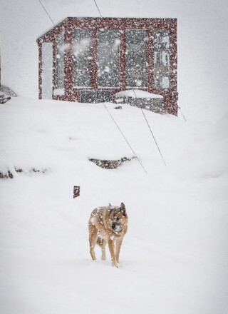   Crédit : Brice Ivanovic