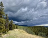 Une étude parue dans Nature révèle que l’assèchement des sols est accentué par des épisodes de pluie intense, mais courts. &mdash; Nelly Guidici