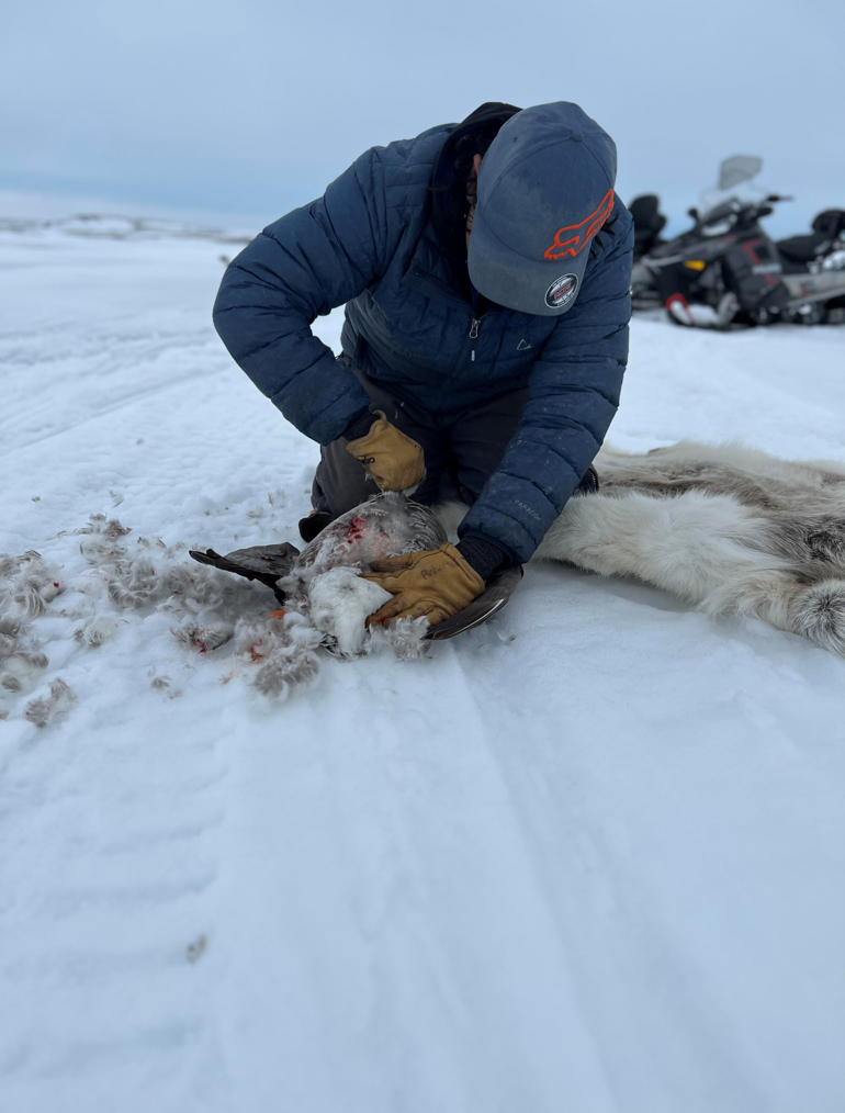 Des activités sur le territoire et la transmission des savoirs traditionnels comptent parmi les approches privilégiées par le Programme de justice thérapeutique.  &mdash; Gouvernement du Nunavut