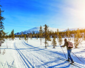 Panoramic view of male person cross-country skiing in Scandinavia in golden evening light at sunset  