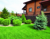 Landscape design on the site of a country house. Russia.A wooden house.  