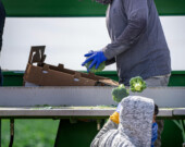 Le Comité permanent de la citoyenneté et de l'immigration demande au gouvernement la fin des permis liés à un employeur donné pour les Travailleurs étrangers temporaires. &mdash; Photo : Mark Stebnicki – Pexels