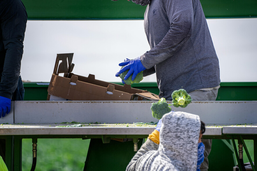 Le Comité permanent de la citoyenneté et de l'immigration demande au gouvernement la fin des permis liés à un employeur donné pour les Travailleurs étrangers temporaires. &mdash; Photo : Mark Stebnicki – Pexels