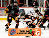 Les Cubs …les Lumberjacks et le Rock cette semaine &mdash; Photo : Lumberjacks/web