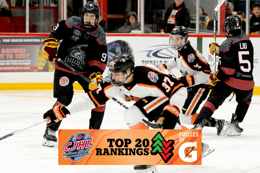Les Cubs …les Lumberjacks et le Rock cette semaine &mdash; Photo : Lumberjacks/web