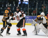   Photo : Lumberjacks/web