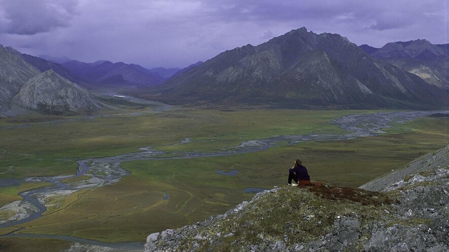 Refuge national de l'Arctique. &mdash; Photo : Steven Chase, U.S. Fish and Wildlife Service