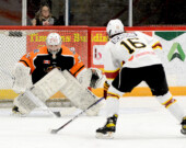   Photo : Lumberjacks/web