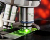 Ce sont deux des conséquences immédiatement visibles du gel des subventions dans la recherche aux États-Unis depuis un mois.  
