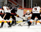   Photo : Lumberjacks/web