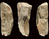   Photo : Hao Li / PNAS