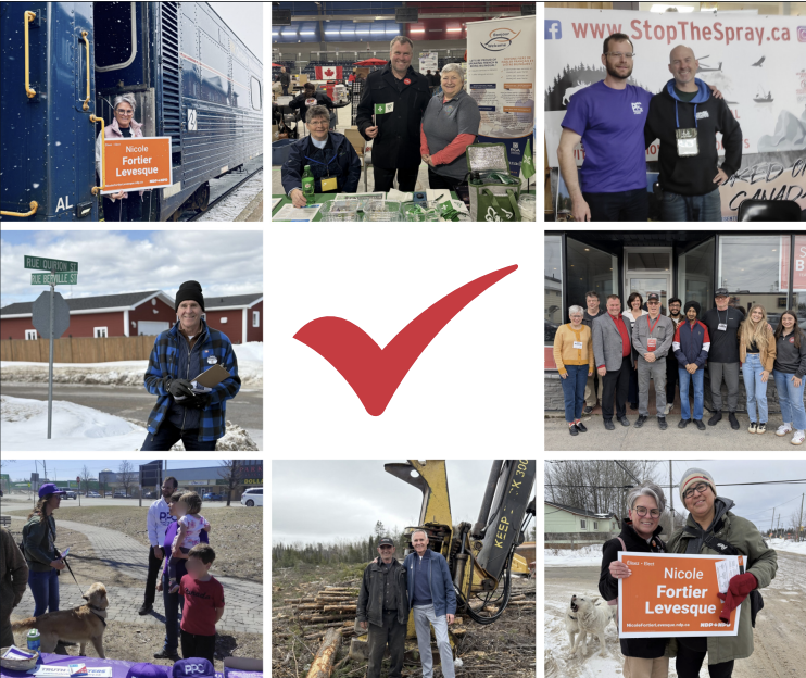   Photo : Montage - Le Nord / Facebook des candidats