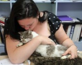 Marie-Josée Boucher-Basque qui câline et réconforte un chat retrouvé &mdash; Photo : gracieuseté Marie-Josée B-B
