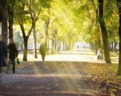  Photo : Konstanttin / Depositphotos 