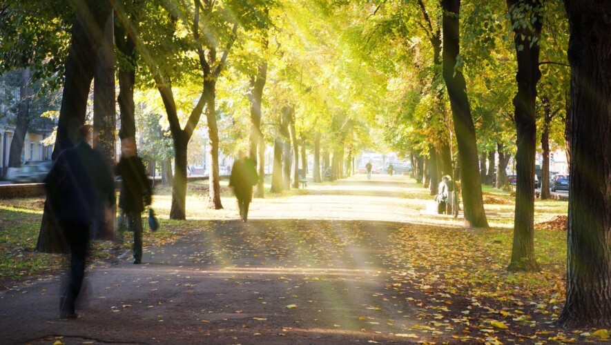   Photo : Konstanttin / Depositphotos 